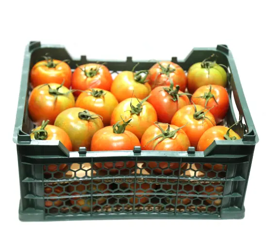 Tomato Green House 5.5kg Iran